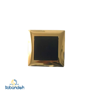 کلید و پریز رویان مدل پالاس مشکی با قاب فلزی طلایی